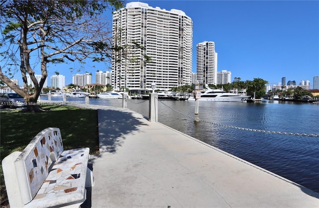 exterior space with a dock