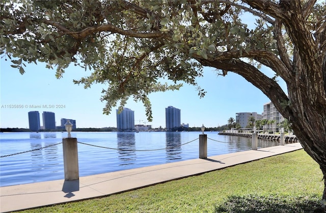 view of dock with a yard and a water view