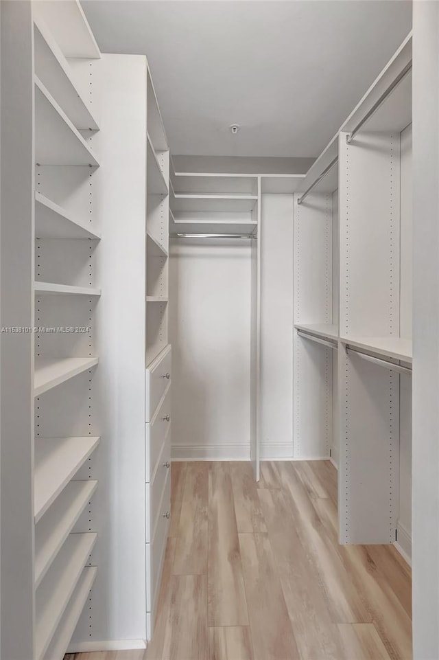 spacious closet featuring light hardwood / wood-style floors