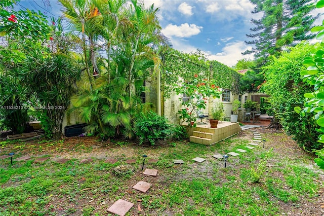 view of yard with a patio area