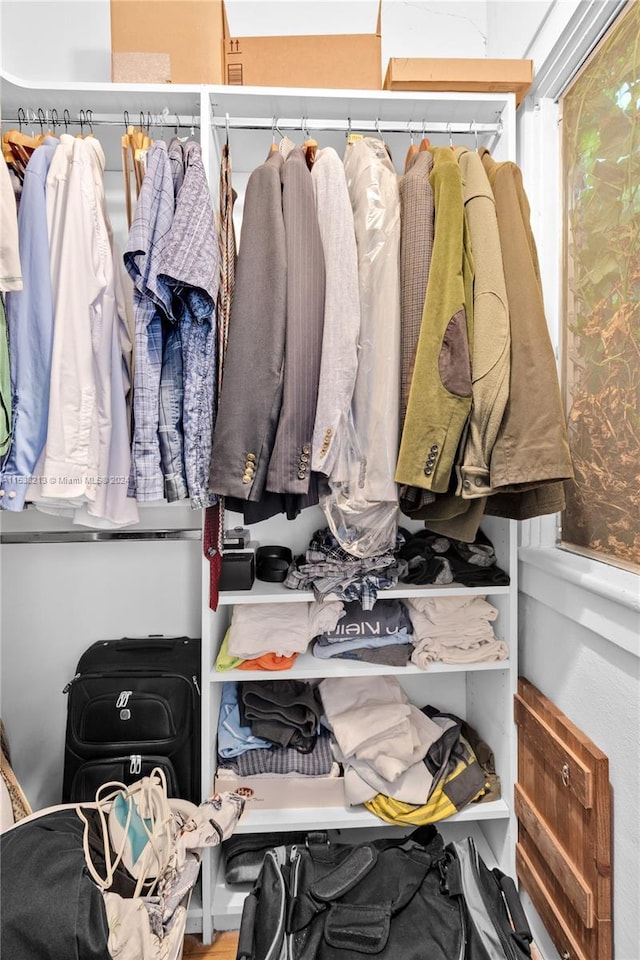 view of spacious closet