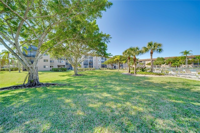 12755 SW 16th Ct Unit 211B, Pembroke Pines, FL 33027 - view of grassy yard