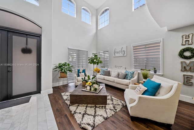 living room featuring plenty of natural light, a towering ceiling, and hardwood / wood-style flooring