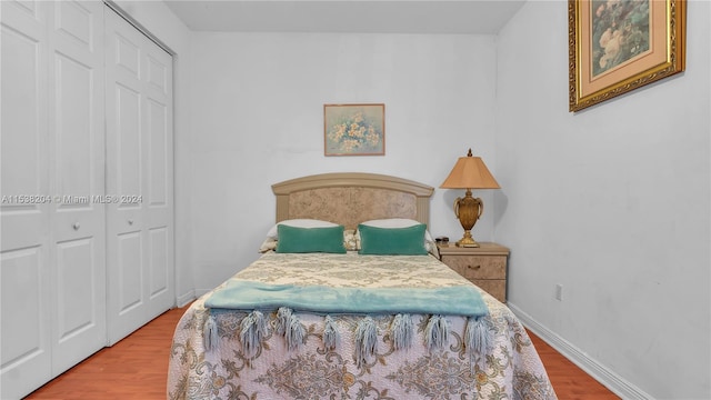 bedroom with a closet and wood-type flooring