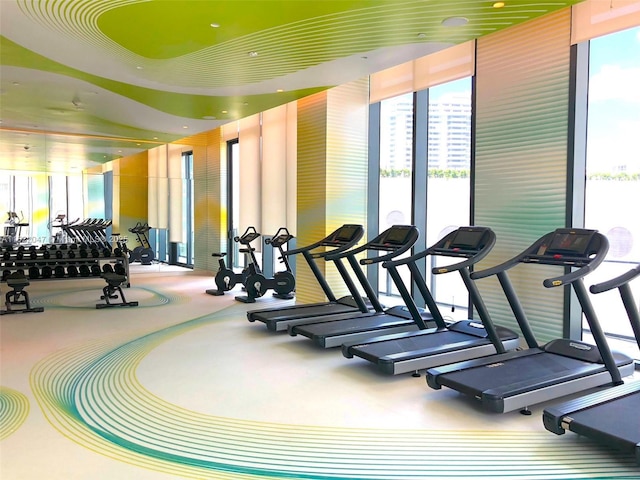 gym featuring a wealth of natural light