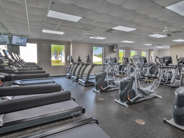 exercise room featuring ceiling fan, a healthy amount of sunlight, and a drop ceiling