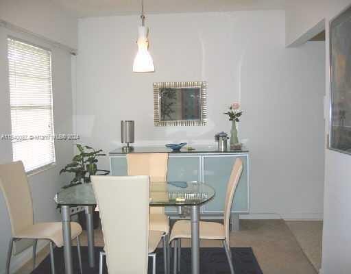 dining space featuring plenty of natural light