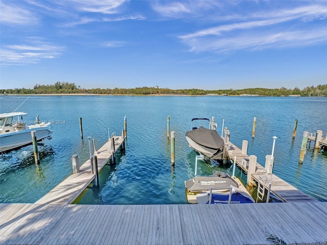 dock area with a water view