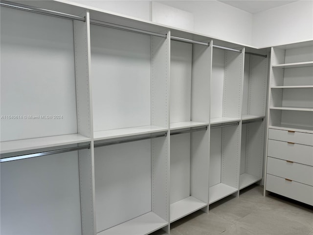 view of spacious closet