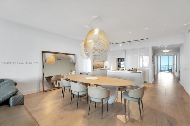 dining space with light hardwood / wood-style flooring and track lighting