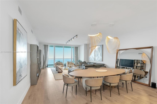 dining space featuring a water view, light hardwood / wood-style flooring, and track lighting