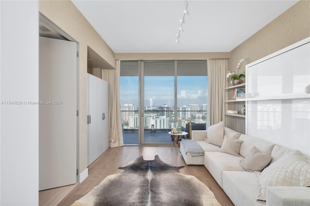 living room featuring light hardwood / wood-style floors and rail lighting