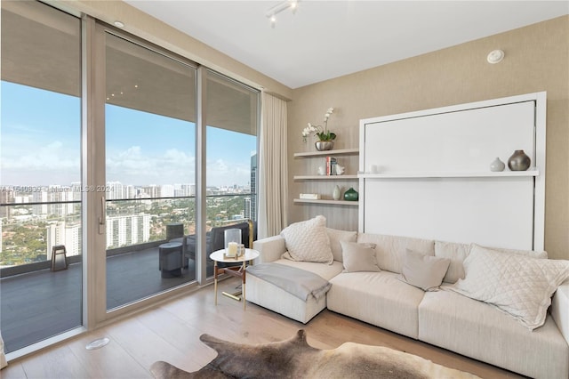 living room featuring plenty of natural light and light hardwood / wood-style flooring