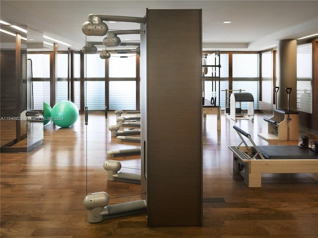 gym featuring dark wood-type flooring and a wealth of natural light