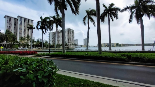 exterior space with a water view