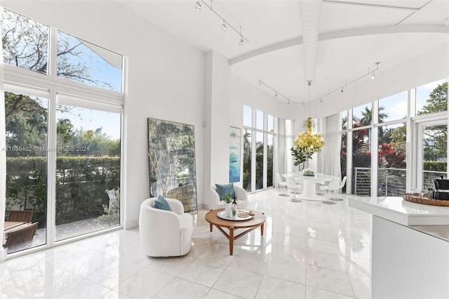 sunroom featuring rail lighting