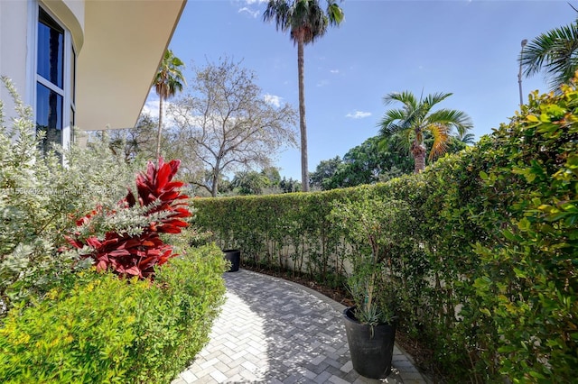 view of yard featuring a patio area