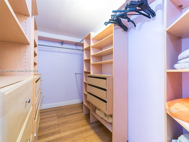 walk in closet featuring light wood-type flooring