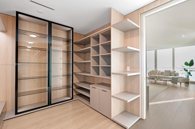 spacious closet featuring light hardwood / wood-style flooring