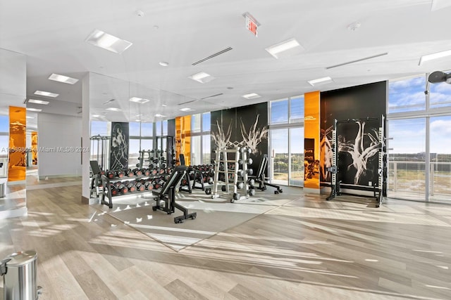 gym with expansive windows and light wood-type flooring