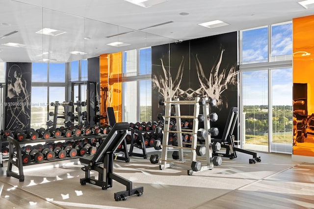 exercise room featuring plenty of natural light, expansive windows, and light hardwood / wood-style flooring