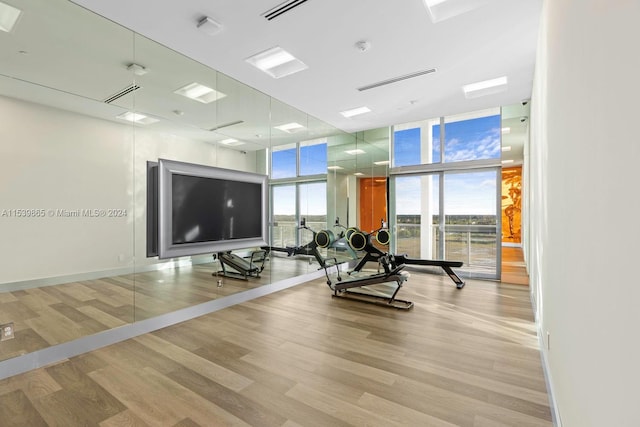 workout area featuring expansive windows and light wood-type flooring