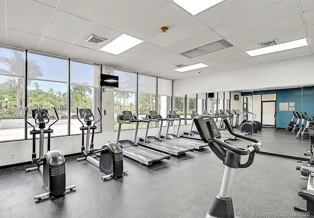 workout area featuring floor to ceiling windows, a paneled ceiling, and a wealth of natural light