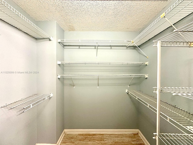 walk in closet with hardwood / wood-style floors