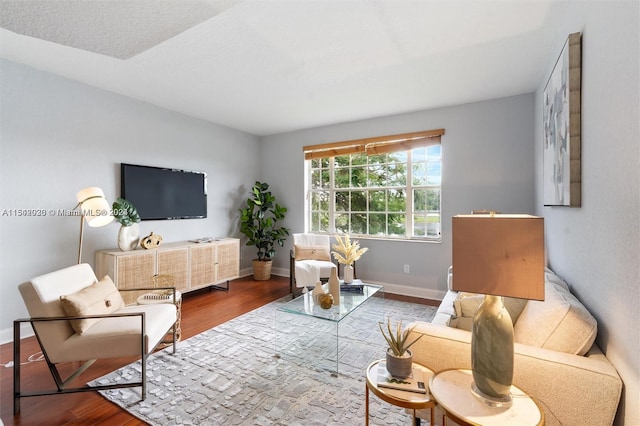 living room featuring wood-type flooring