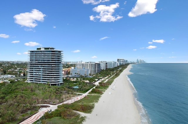 property view of water with a beach view