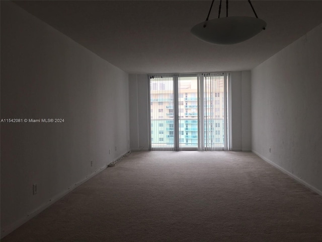 empty room with floor to ceiling windows and carpet floors