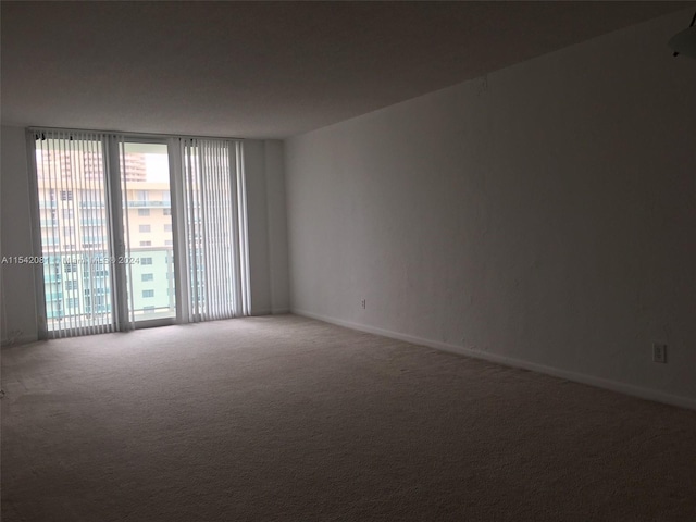 unfurnished room with carpet floors and a wall of windows