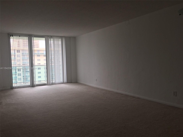 empty room with expansive windows and carpet