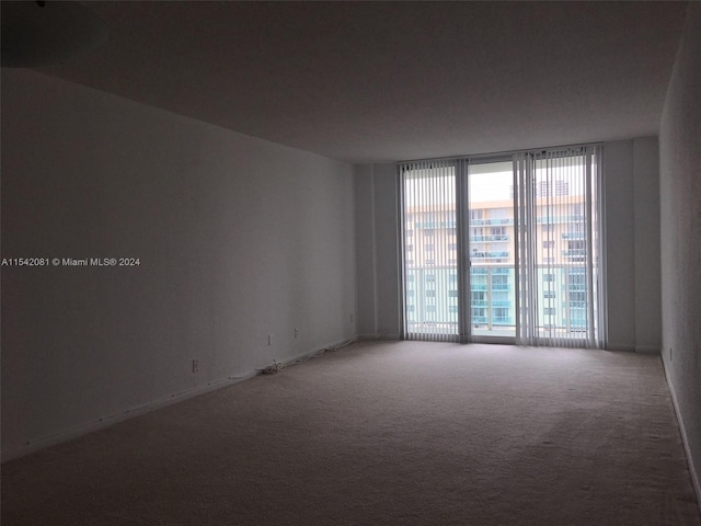 empty room featuring carpet flooring and floor to ceiling windows