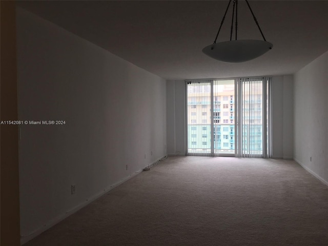 carpeted empty room featuring a wall of windows