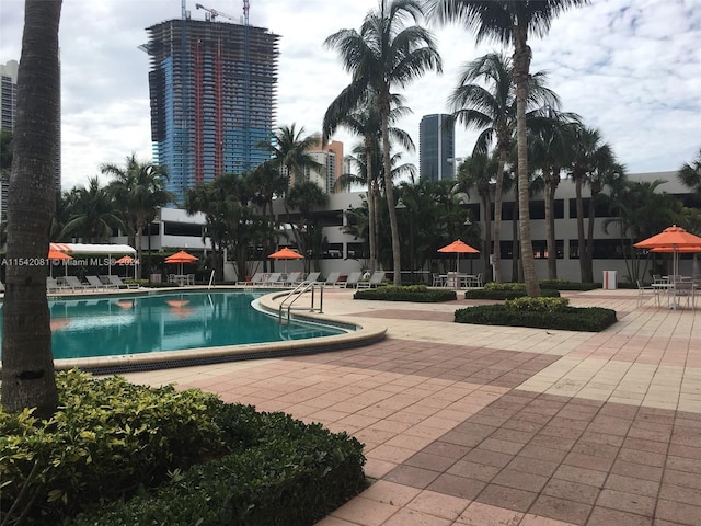 view of swimming pool with a patio