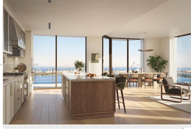 kitchen with plenty of natural light, a water view, and light hardwood / wood-style flooring