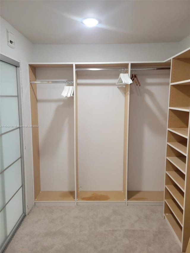 spacious closet with light carpet