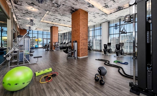 workout area with hardwood / wood-style floors, expansive windows, and a healthy amount of sunlight