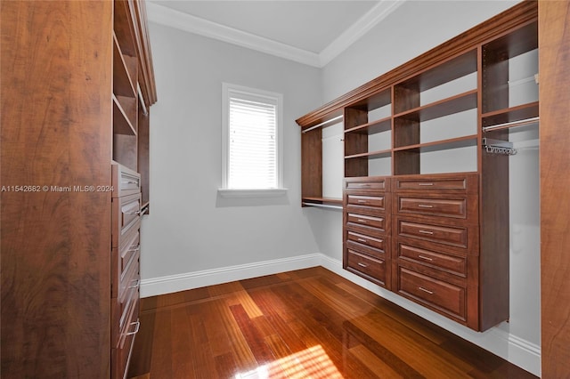 walk in closet featuring dark hardwood / wood-style flooring