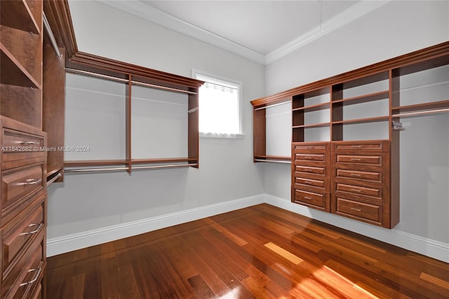 walk in closet featuring hardwood / wood-style flooring