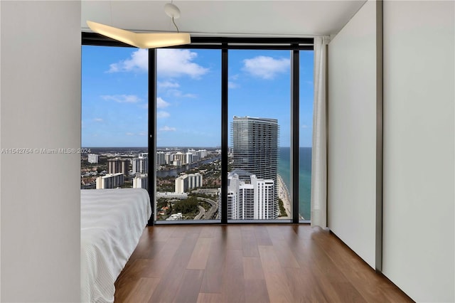 unfurnished bedroom with a water view, dark hardwood / wood-style flooring, and multiple windows