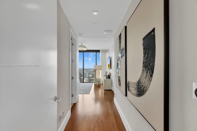 corridor featuring a wall of windows, baseboards, and wood finished floors