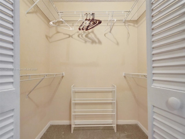 spacious closet with carpet floors and radiator heating unit