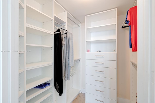 spacious closet featuring light wood-type flooring