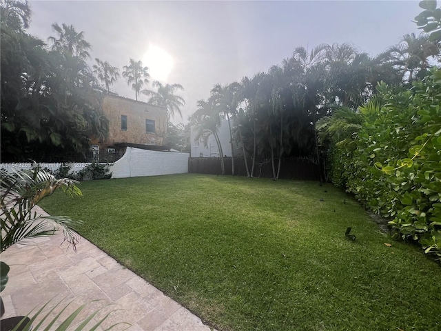 view of yard featuring a patio area