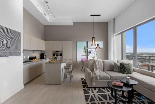 living room with track lighting, light hardwood / wood-style floors, and a high ceiling