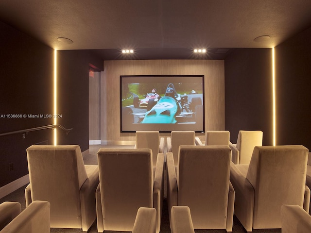 view of carpeted cinema room