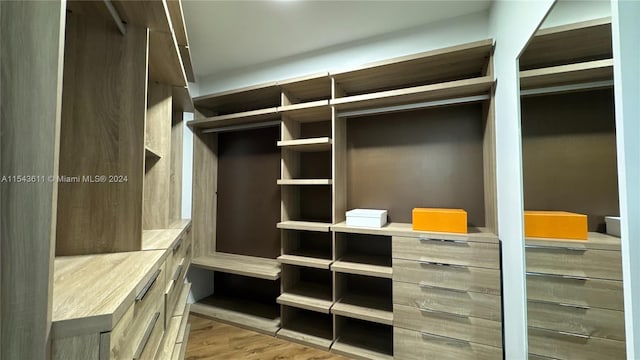 spacious closet featuring light hardwood / wood-style floors