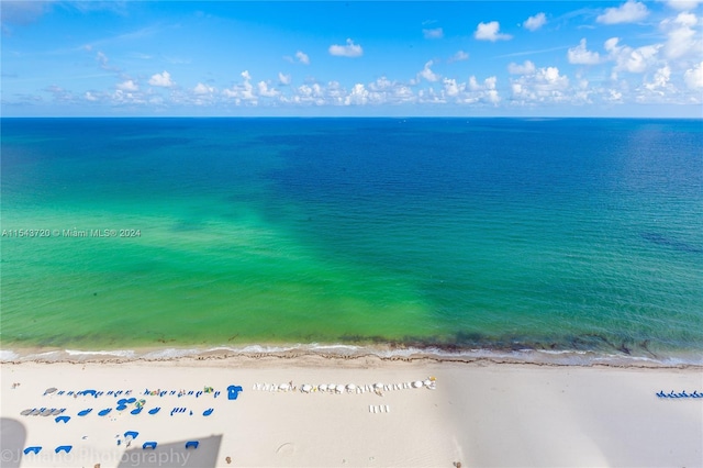 water view featuring a beach view